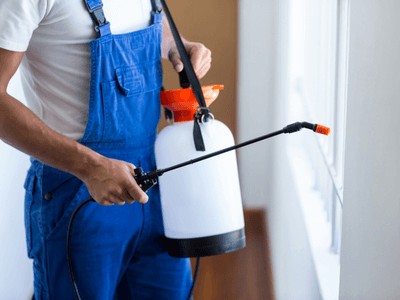 About Jacksonville Pest Elimination Pros - pest elimination experts in Jacksonville