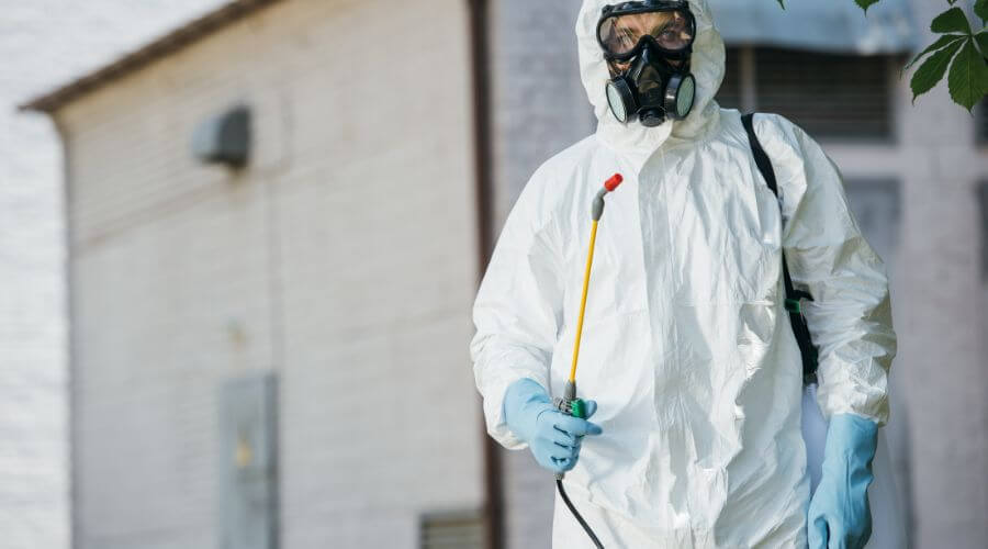 Professional pest elimination services in Jacksonville